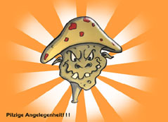 zur Gro�ansicht ins Bild klicken