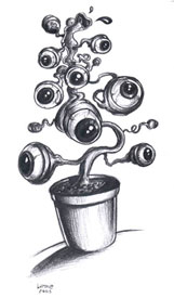 zur Gro�ansicht ins Bild klicken