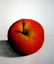 zur Gro�ansicht ins Bild klicken