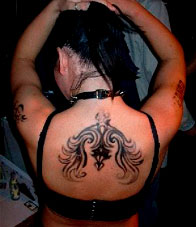 zur Gro�ansicht ins Bild klicken